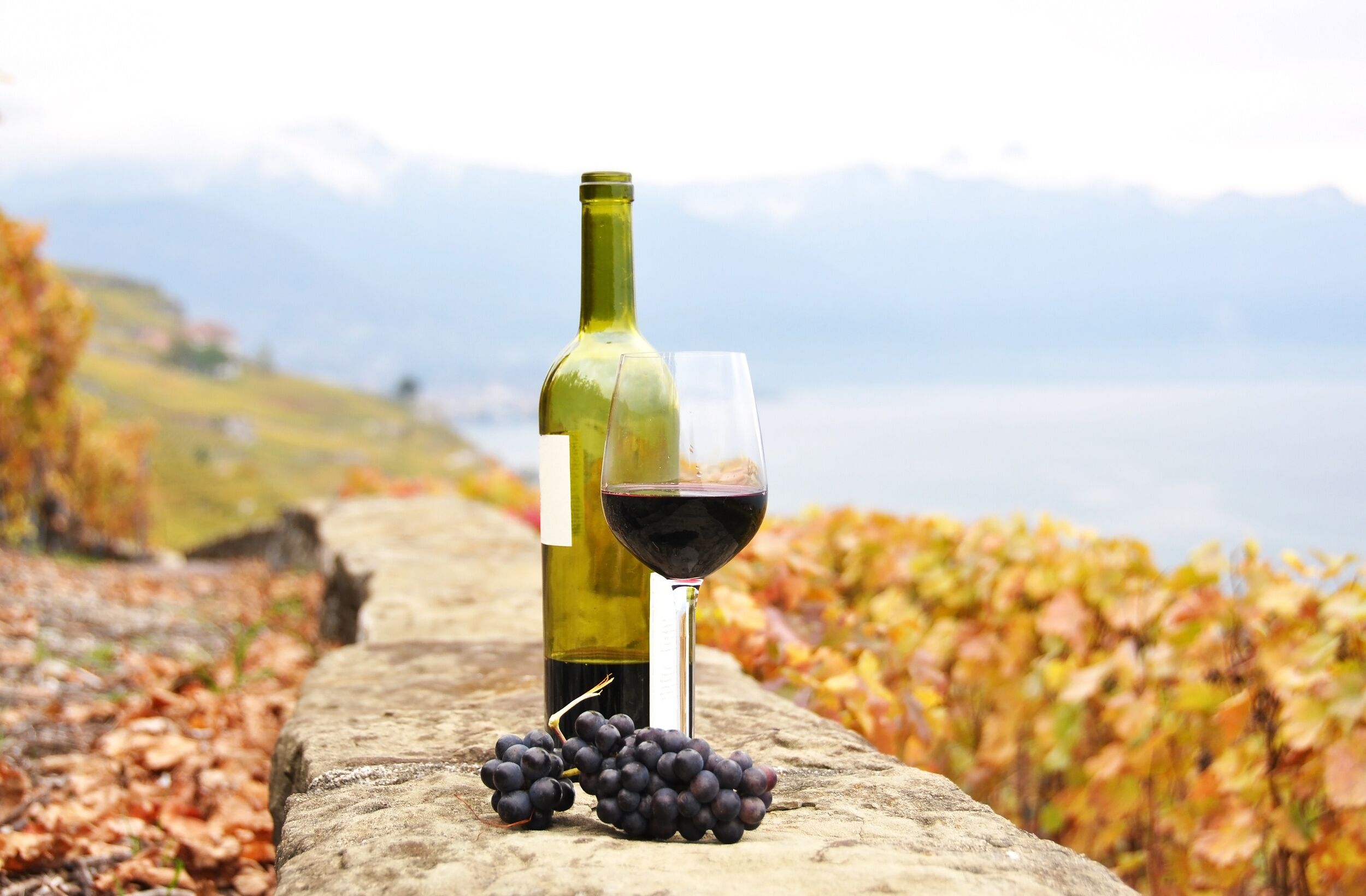 A bottle of wine, a glass of red wine, and a bunch of grapes on a stone ledge with a vineyard in the background.