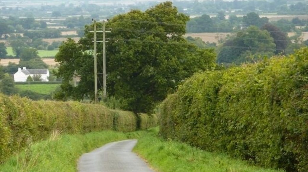 Primrose Lane towards Up Mudford. Views, Trees, Power Lines but given how narrow the road is keep an eye on the road as it is popular with dog walkers, walkers and tractors.