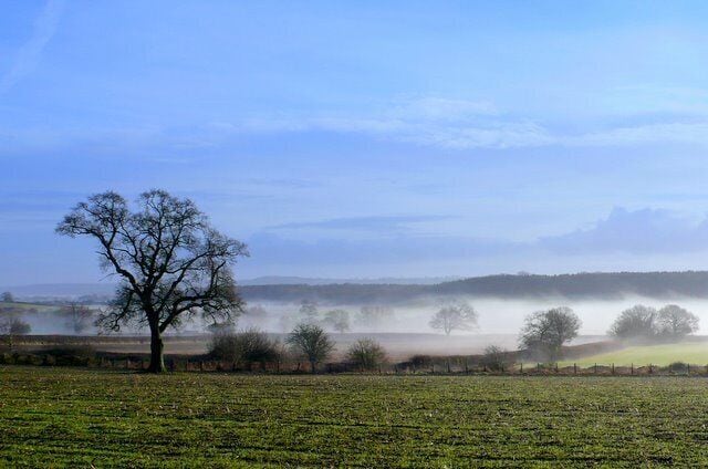 Misty view of Clifton Wood Clifton wood is the dark mass of trees in the distance. The mist is gathered in the valley of a small stream that flows north through Stoford into the River Yeo. This was taken an hour after dawn from close to where the A37 crosses the Dorchester to Yeovil railway. Within 15 minutes the mist had disappeared.