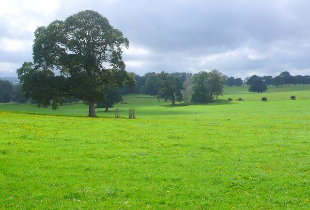 Countryside near Barwick View south across the square from Two Tower Lane