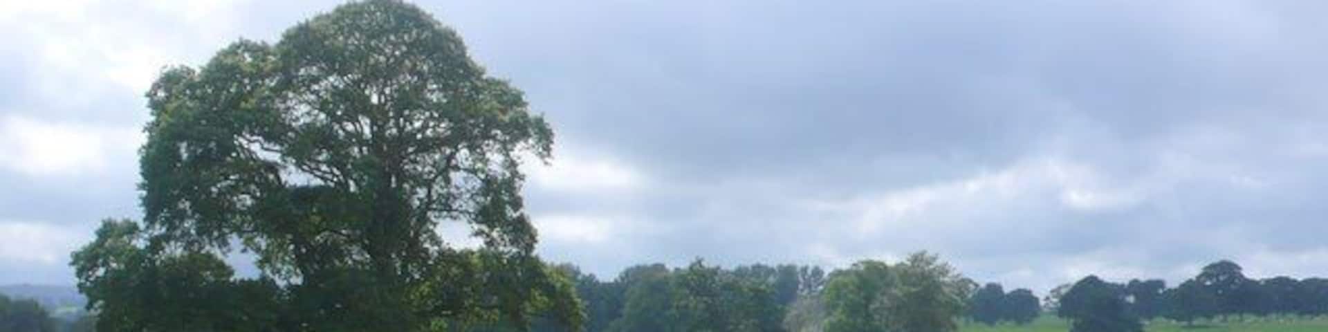 Countryside near Barwick View south across the square from Two Tower Lane