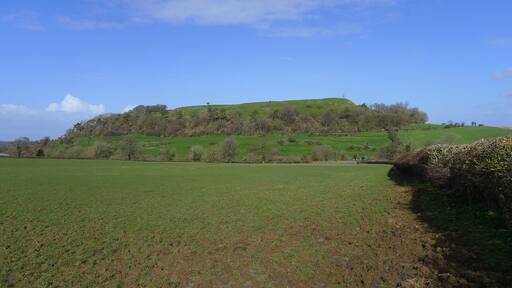 Cadbury Castle