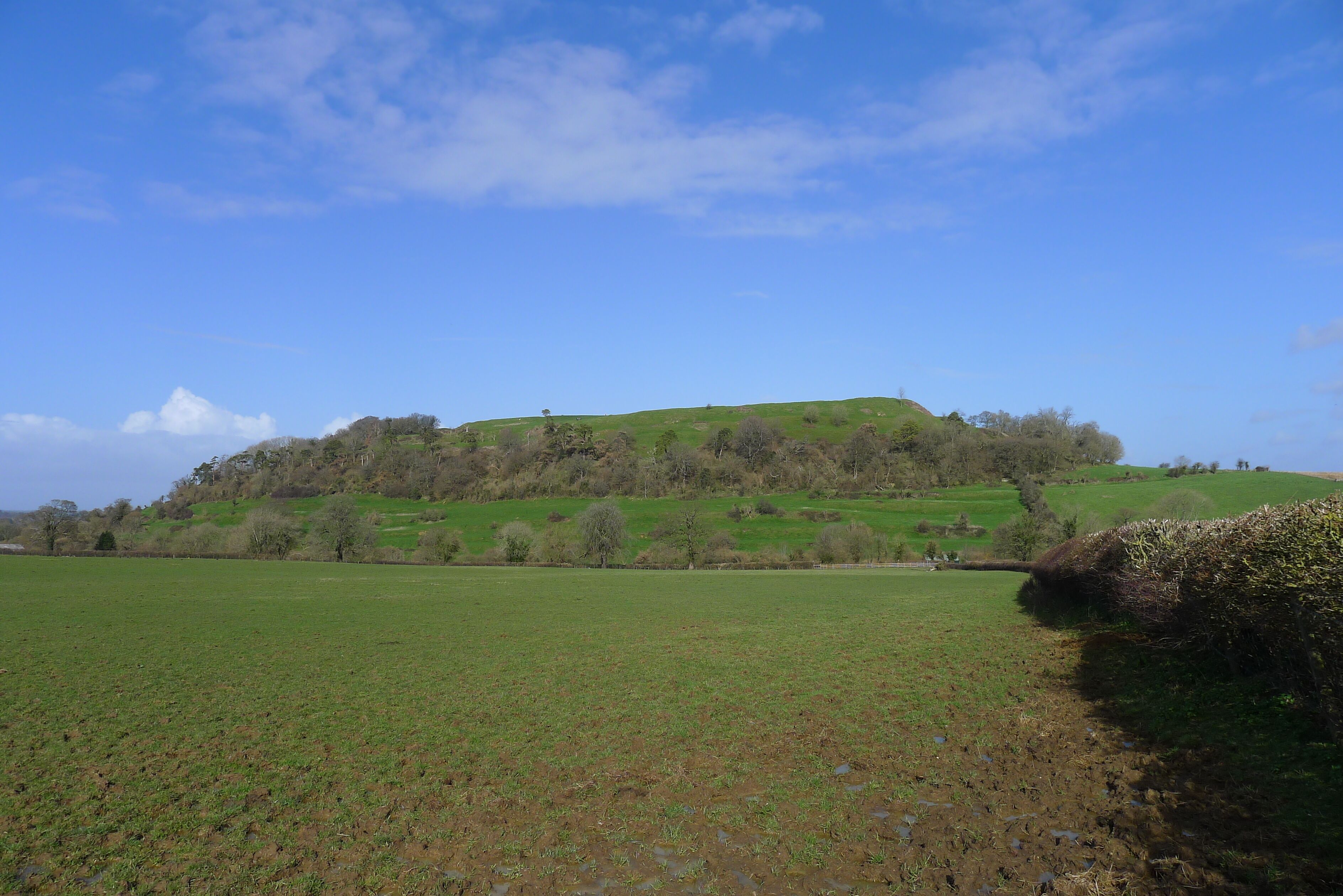 A green field with a hill in the background.