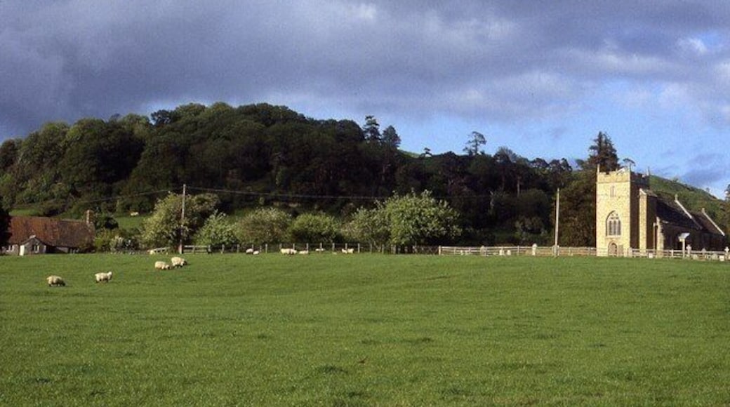 Holy Trinity, Sutton Montis Retrospective view back to the church in Sutton Montis while walking the Leland Trail. The tree covered hill to the left conceals Cadbury Castle