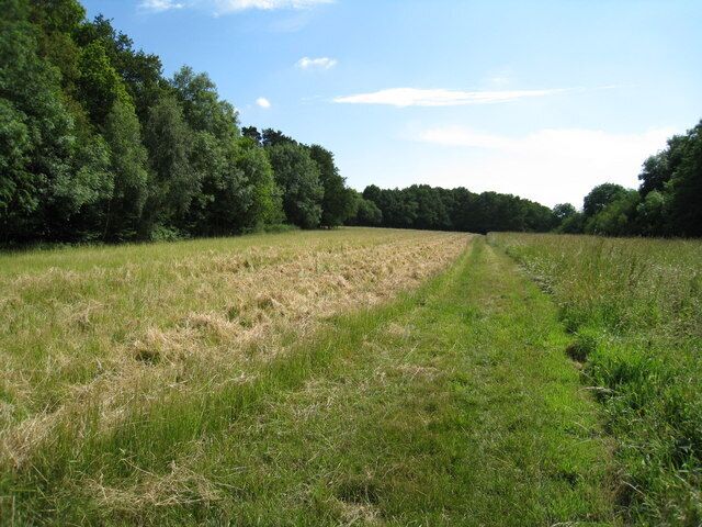 Cut path through the fields The local landowner had been most considerate here in keeping the public footpath along the side of Ewhurst Pond (out of picture to the right) clear of long grass.