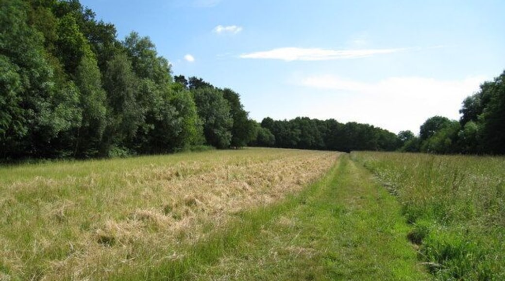 Cut path through the fields The local landowner had been most considerate here in keeping the public footpath along the side of Ewhurst Pond (out of picture to the right) clear of long grass.