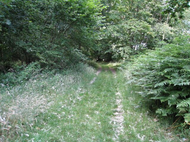 Path through Boathouse Copse