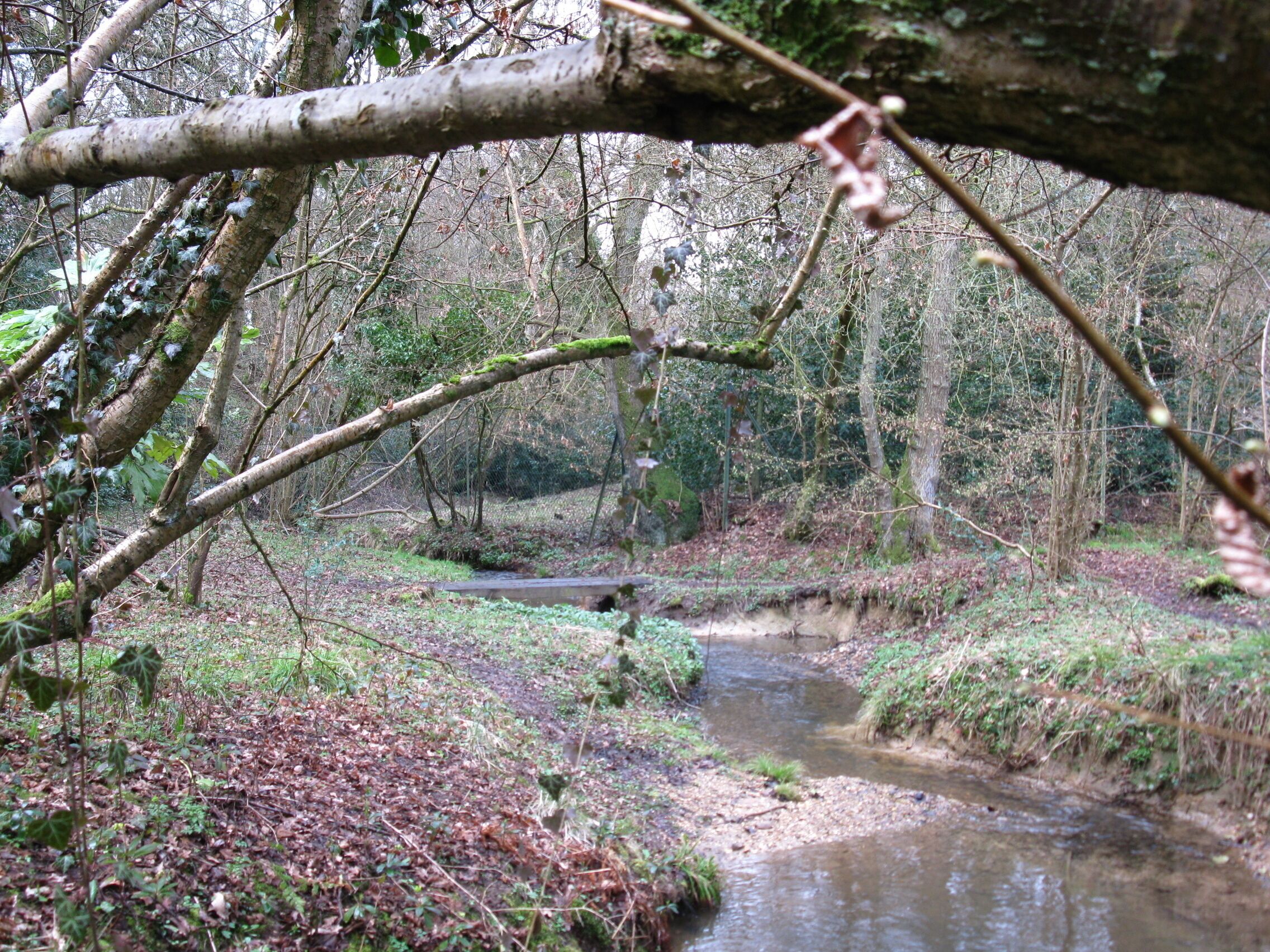 Stream at Haughurst Hill The path crosses this stream at the bottom of Haughurst Hill.