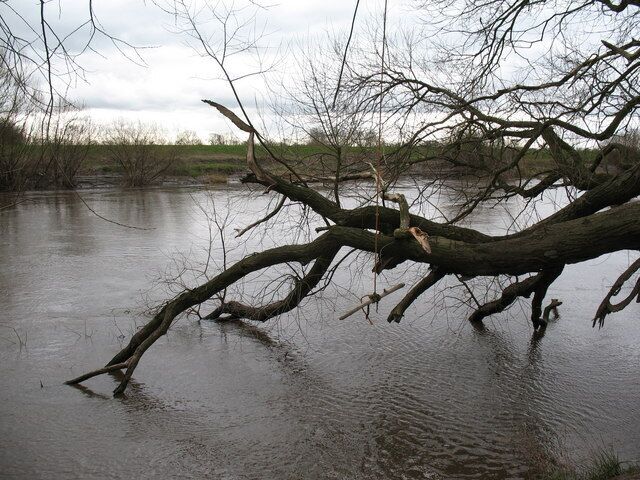 Muddy Waters The Ouse near Kelfield from the north bank. The river was running high after recent rains, but on the flood bank behind the photographer there was evidence of water some 3m higher back in January 07. The photographer decided against using the rope swing over the river.