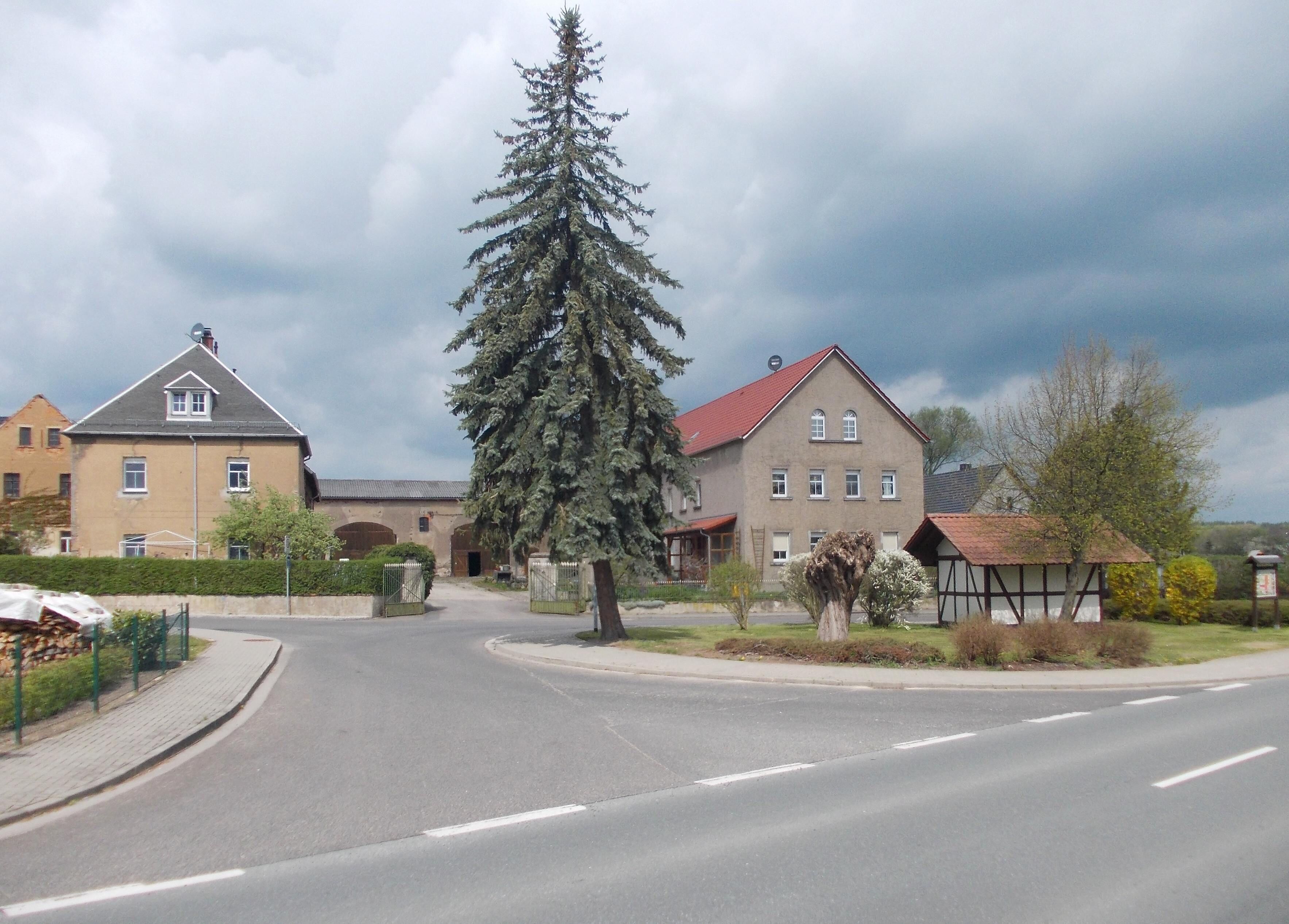 A residential street with houses, a large evergreen tree, and a clear sky.