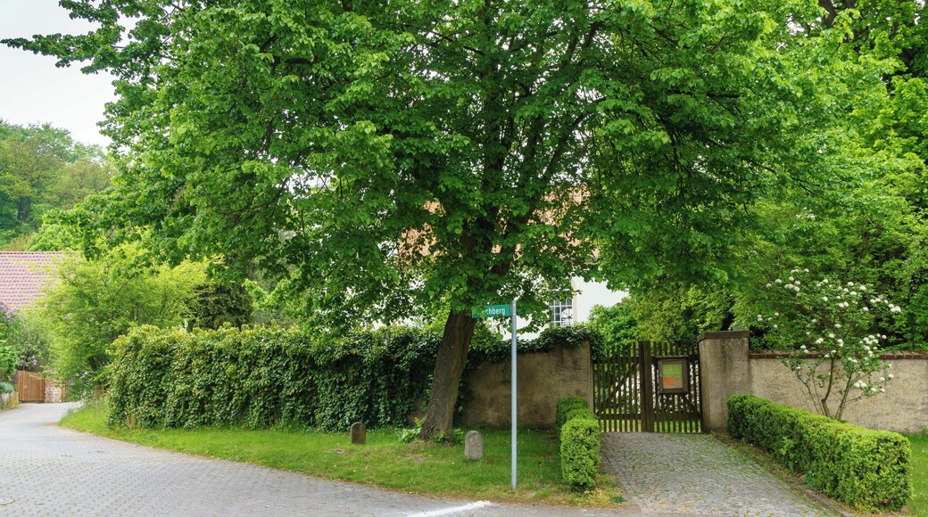 This media shows the protected monument of Saxony with the ID 08974008 KDSa/08974008(other).