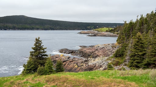 ๋ฒ ์ด ๋ถ์ค