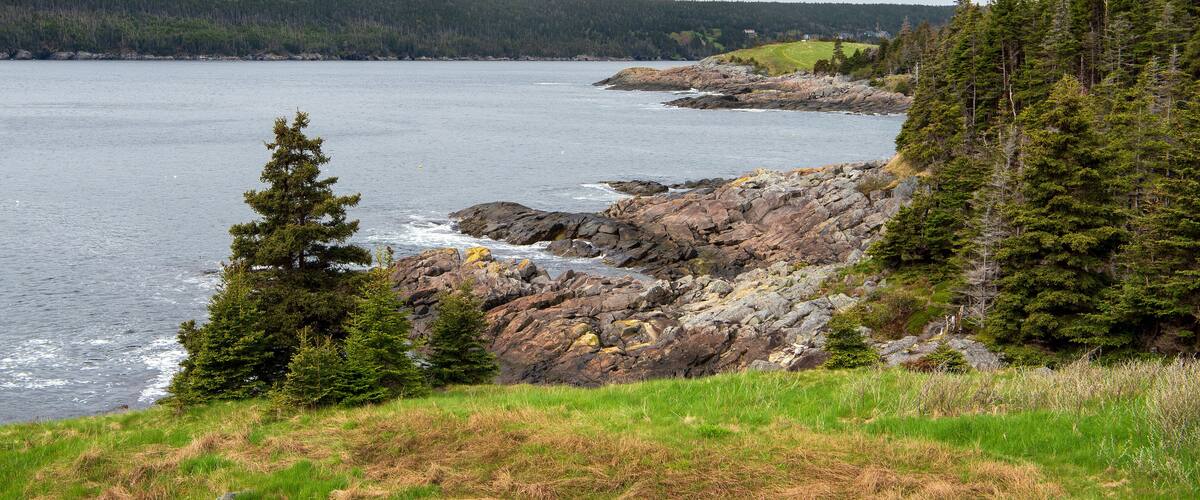 A coastal landscape with rocky shores, dense forests, and a distant hill.