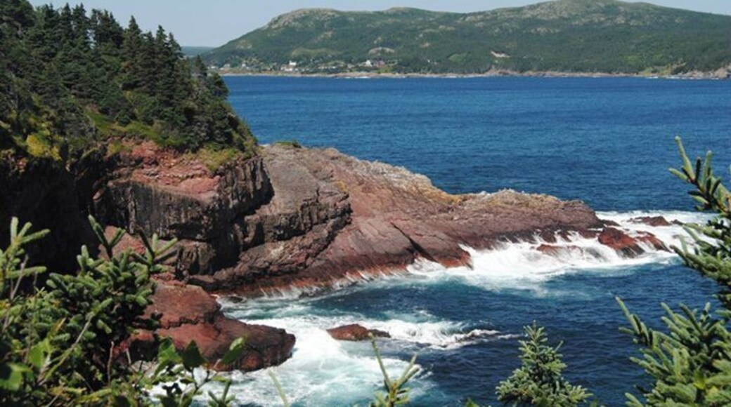 My dear old Bay Bulls town. Taken from the East Coast Trail (Bay Bulls to Witless Bay hike)