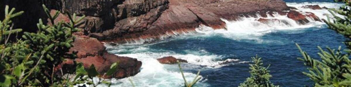 My dear old Bay Bulls town. Taken from the East Coast Trail (Bay Bulls to Witless Bay hike)