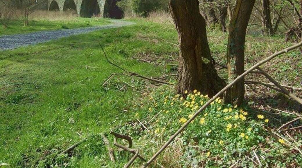 Machen Viaduct, Machen Forge Trail Machen Forge Trail is a rural walk through villages and countryside, covering the old industrial area of Machen and Waterloo.