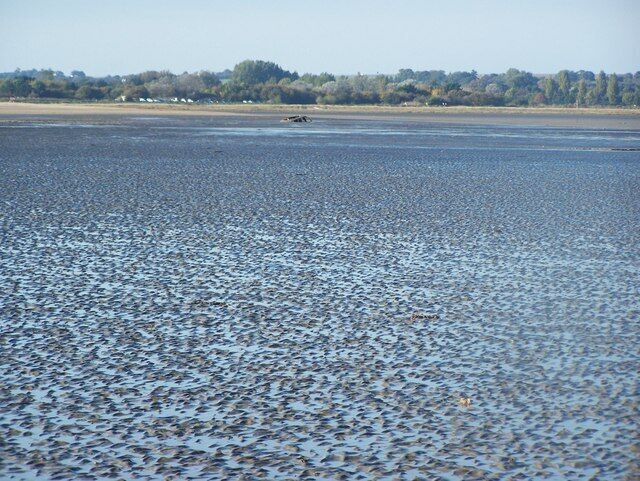 Um rio largo com margem arenosa e árvores ao fundo.