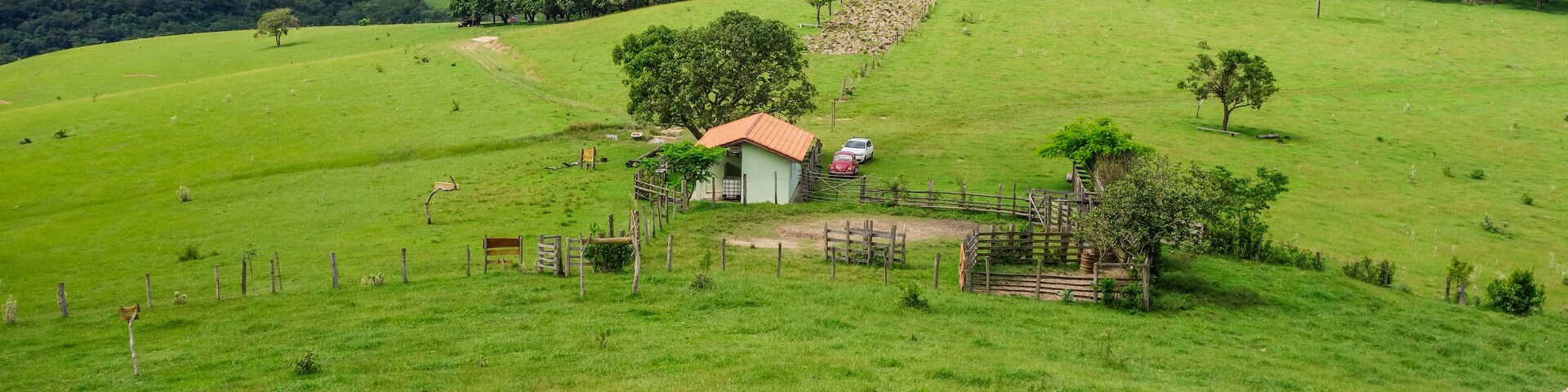 Um campo verde com uma casa pequena, uma cerca e uma árvore.