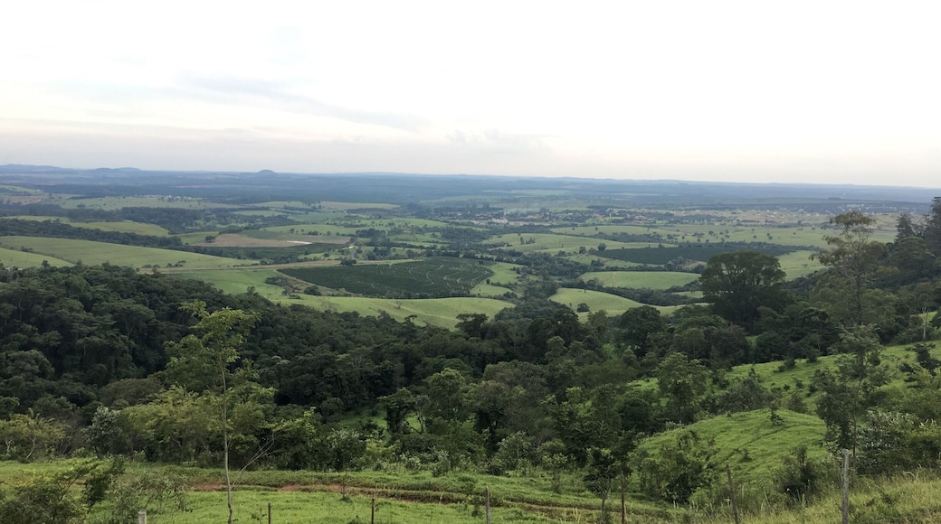 Country landscape and a must have stop to take a delicious coffee with this view.
#SaoPaulo