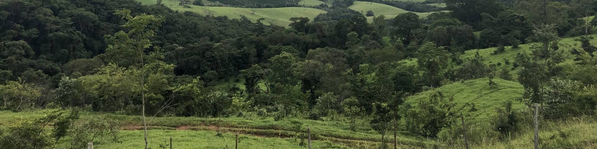 Country landscape and a must have stop to take a delicious coffee with this view.
#SaoPaulo
