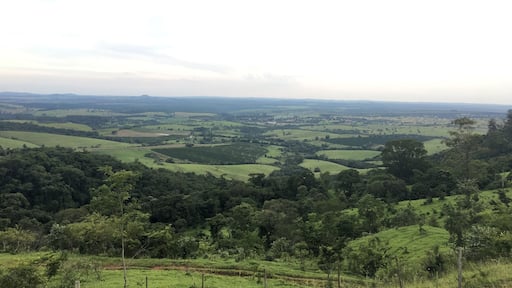 Country landscape and a must have stop to take a delicious coffee with this view.
#SaoPaulo