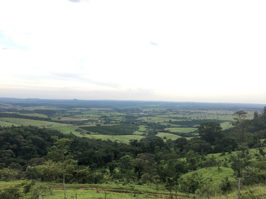 Country landscape and a must have stop to take a delicious coffee with this view.
#SaoPaulo