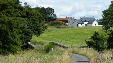A rural pathway leading to a house with a red roof, surrounded by greenery and a stone wall.