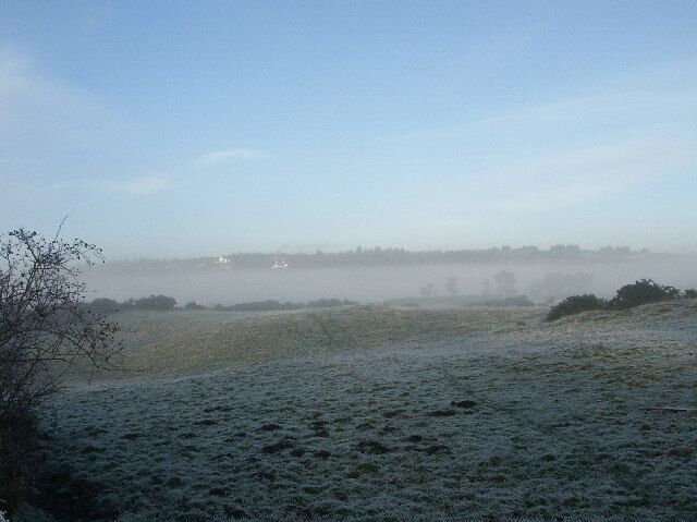 A frosty field with a clear sky and distant trees.