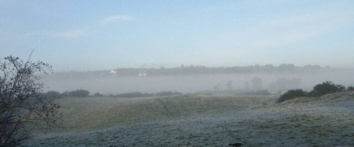 A frosty field with a clear sky and distant trees.