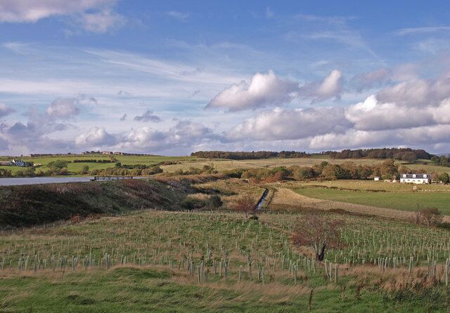 Auchendores Reservoir Auchendores Cottages below the reservoir wall to the right of the reservoir overflow. Laigh Castlehill Farm on far left. Lots of new tree planting and walkways in the areas below the reservoir. Castlehill plantation on the brow of the hill.