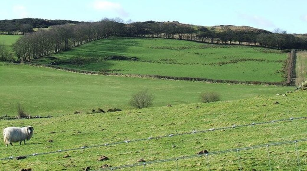Farmland near Priestside Farm Viewed from National Cycle Route 75 on the outskirts of Port Glasgow.