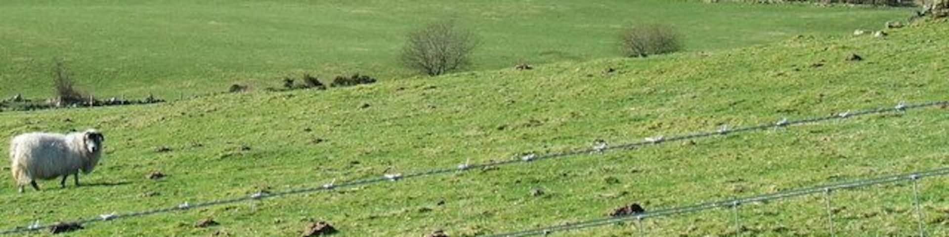 Farmland near Priestside Farm Viewed from National Cycle Route 75 on the outskirts of Port Glasgow.