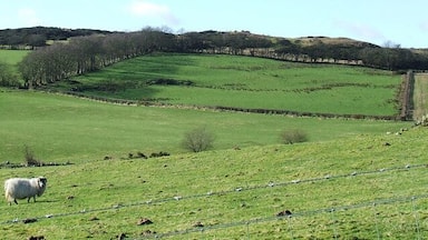 Farmland near Priestside Farm Viewed from National Cycle Route 75 on the outskirts of Port Glasgow.