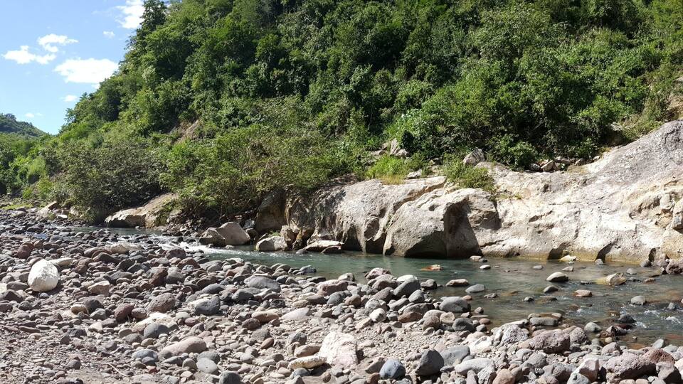 A rocky riverbed with a flowing stream surrounded by dense green forest and hills.