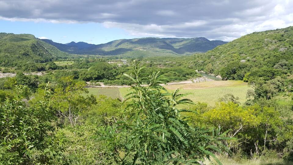 A lush valley with a river, dense greenery, and distant mountains.