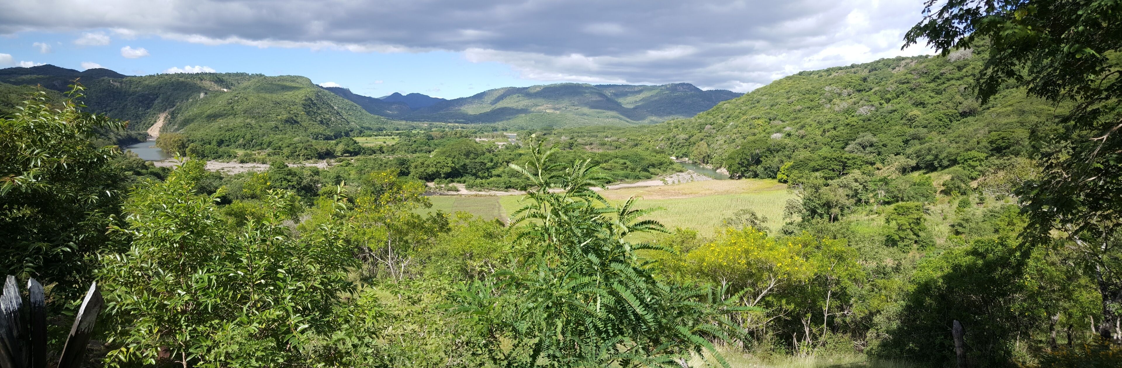 A lush valley with a river, dense greenery, and distant mountains.
