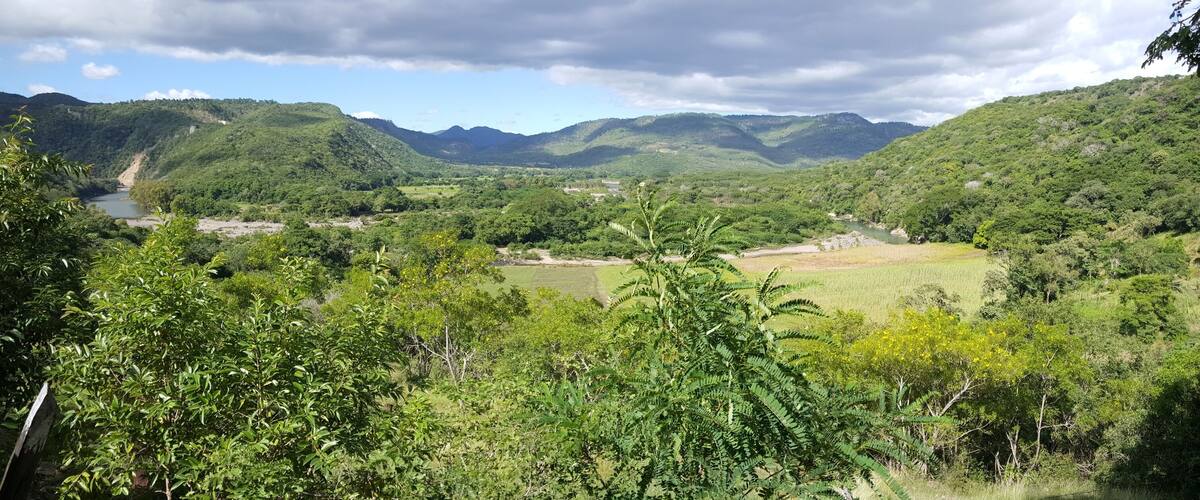 A lush valley with a river, dense greenery, and distant mountains.