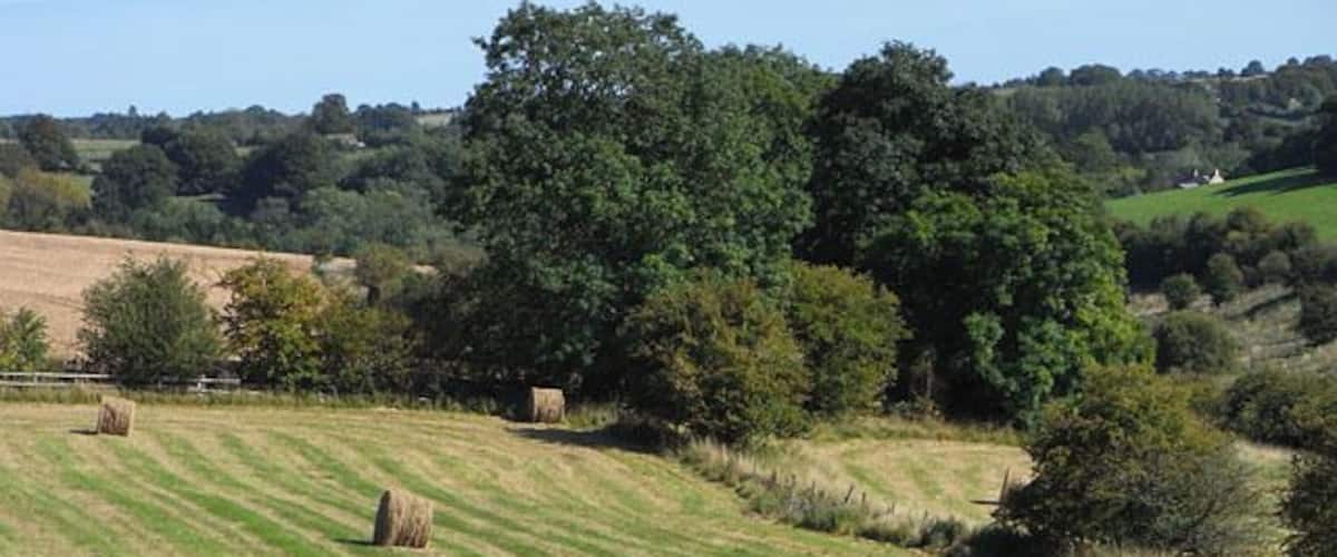 Field with baled hay, Chedworth Fields on the north side of Hedgley Bottom.