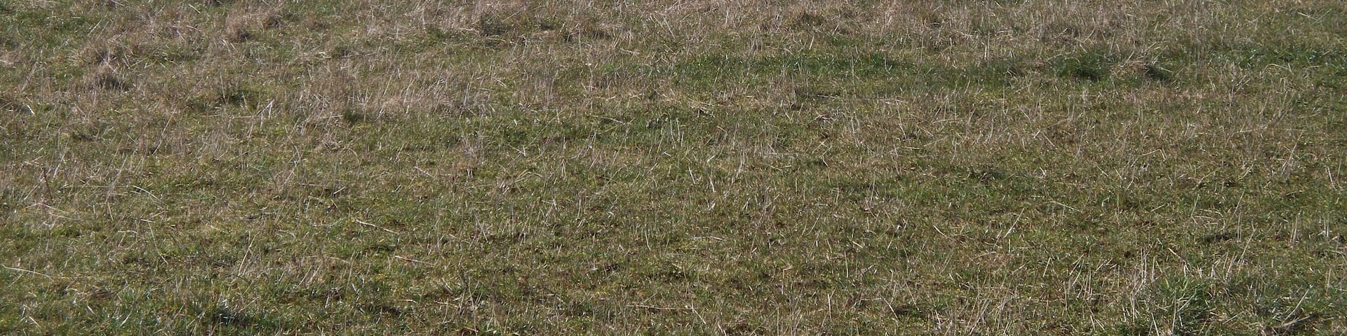Across the field From the copse, the path runs across the field to the edge of Keeper's Hill Wood. Trafalgar Farm in the distance.
