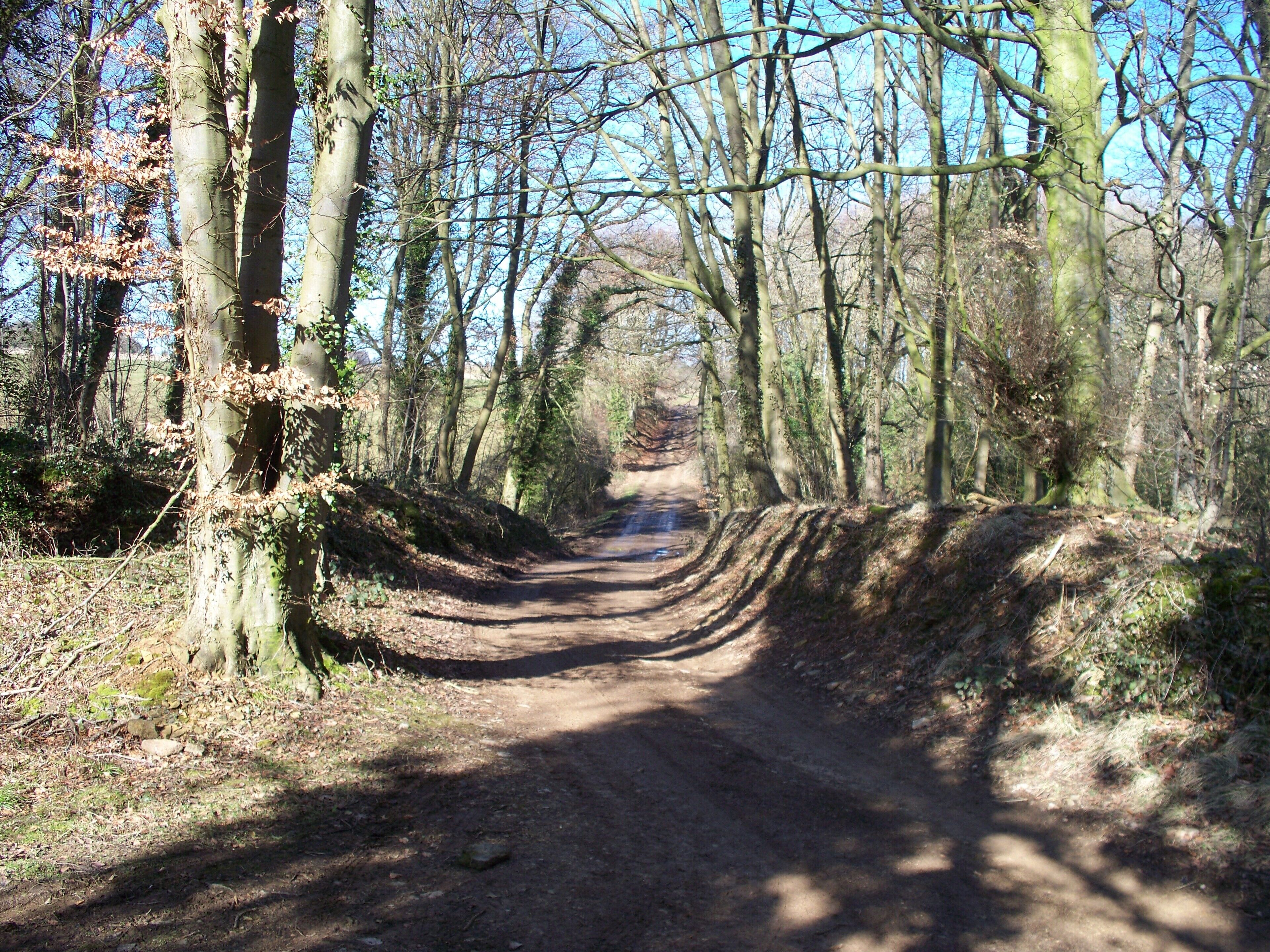 Track to the farm The track leads to Lower Barn, Keeper's House and Trafalgar Farm.