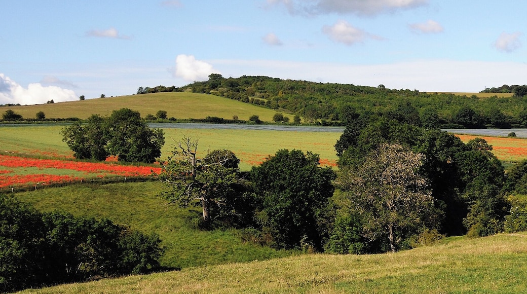 Rolling hills of the Cotswolds near Coberley.