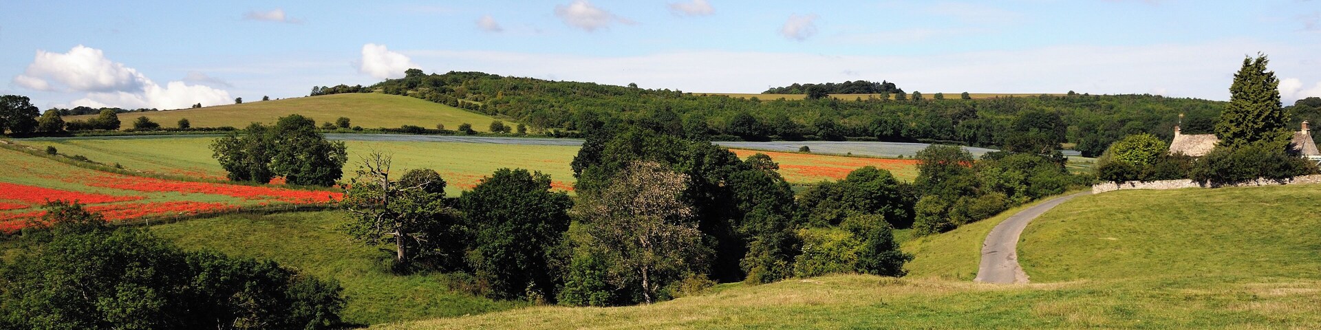Rolling hills of the Cotswolds near Coberley.