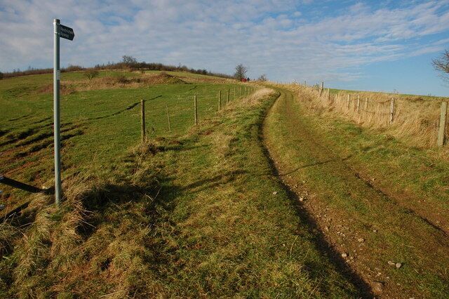 Footpath junction near Coberley The footpath splits at this point to the west of Coberley, the Gloucestershire Way biforcates left (out of picture) and this footpath continues towards Cuckoopen Barn Farm.