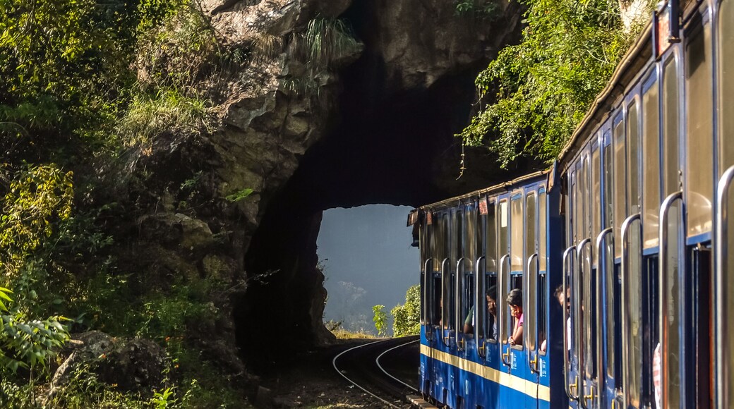 Nilgiri mountain railway, runs between Mettupalayam and Udagamandalam in south India.