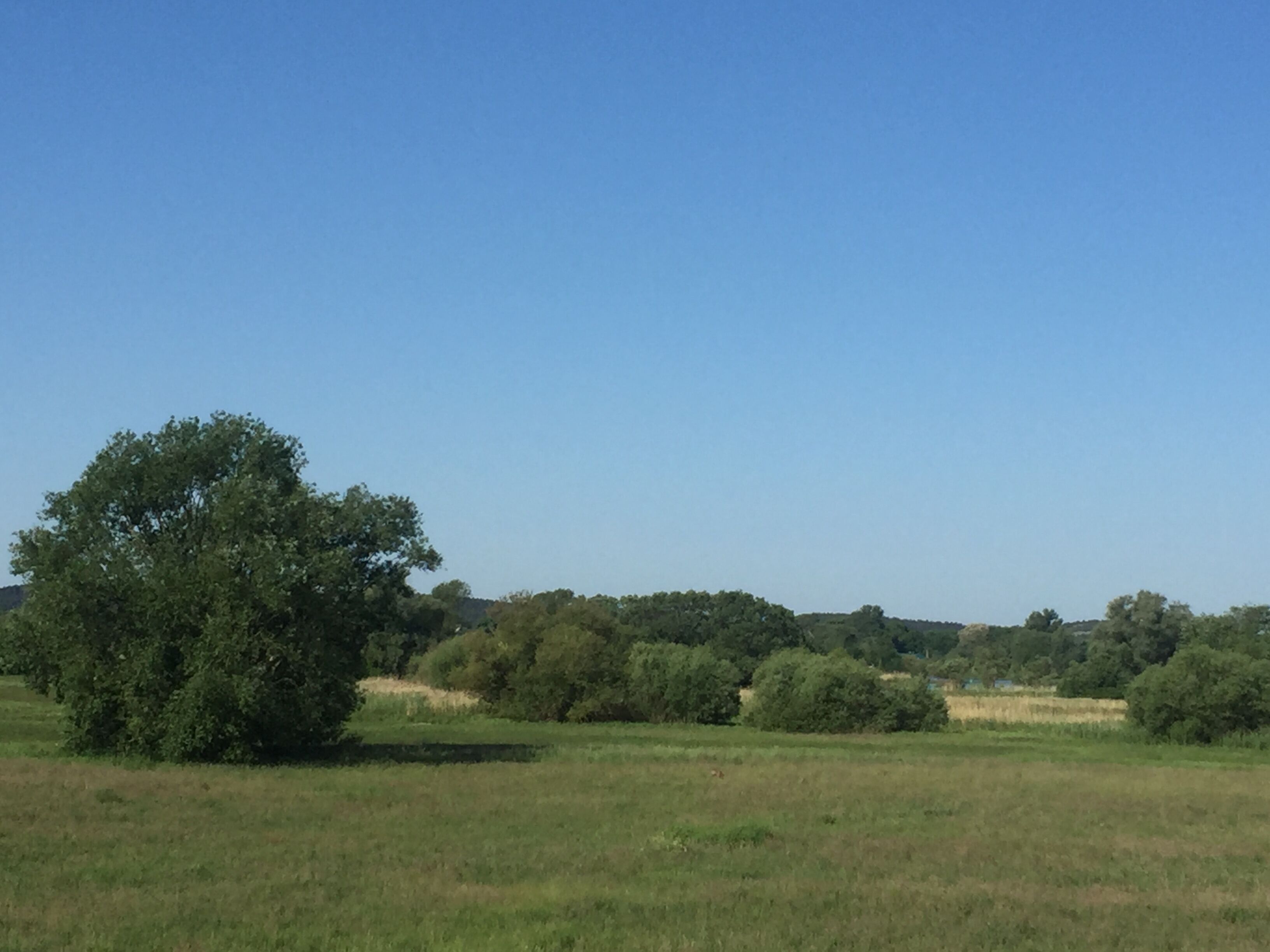 Naturschutzgebiet in Premnitz an der Havel