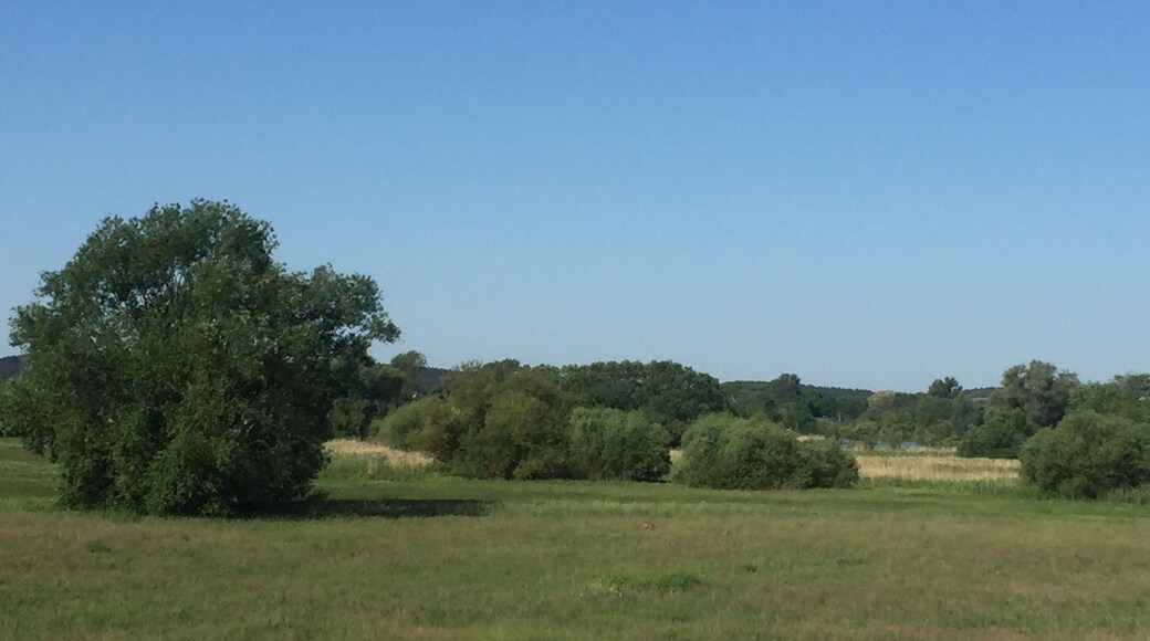 Naturschutzgebiet in Premnitz an der Havel