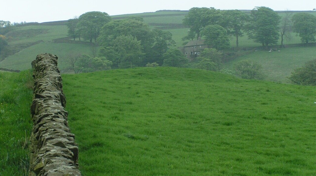 Bowl barrow, Ginclough Looking southwest from the footpath. See http://www.magic.gov.uk/rsm/22568.pdf for more information. The farm in the background is Slack-o'th'-Moor.