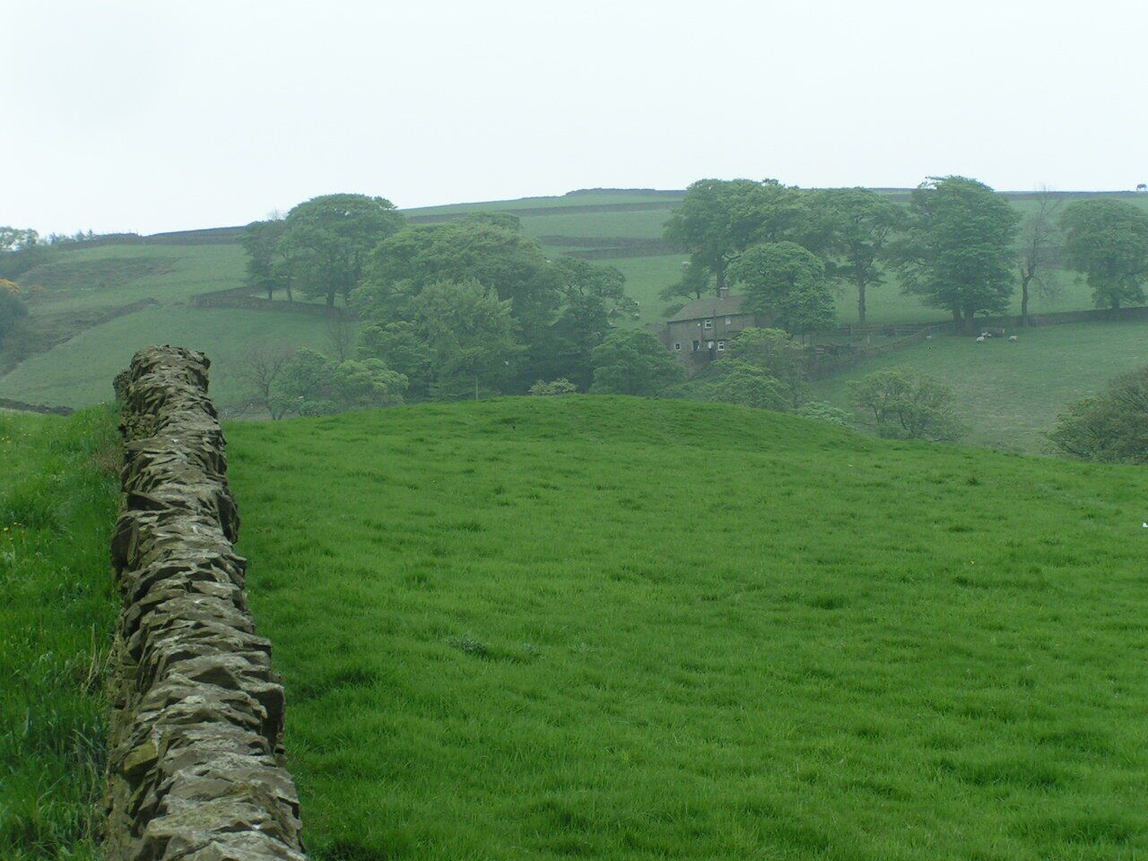 A stone wall in a green field with trees and a building in the background.