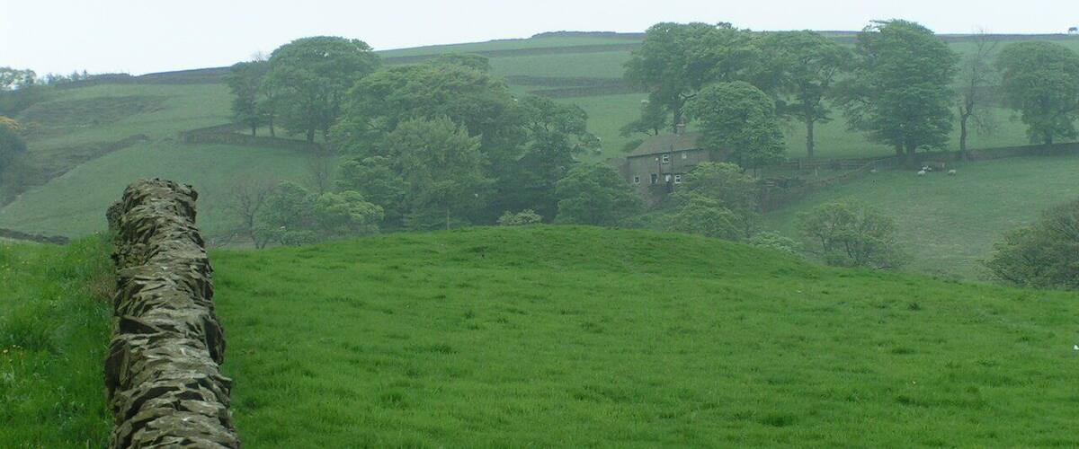 A stone wall in a green field with trees and a building in the background.