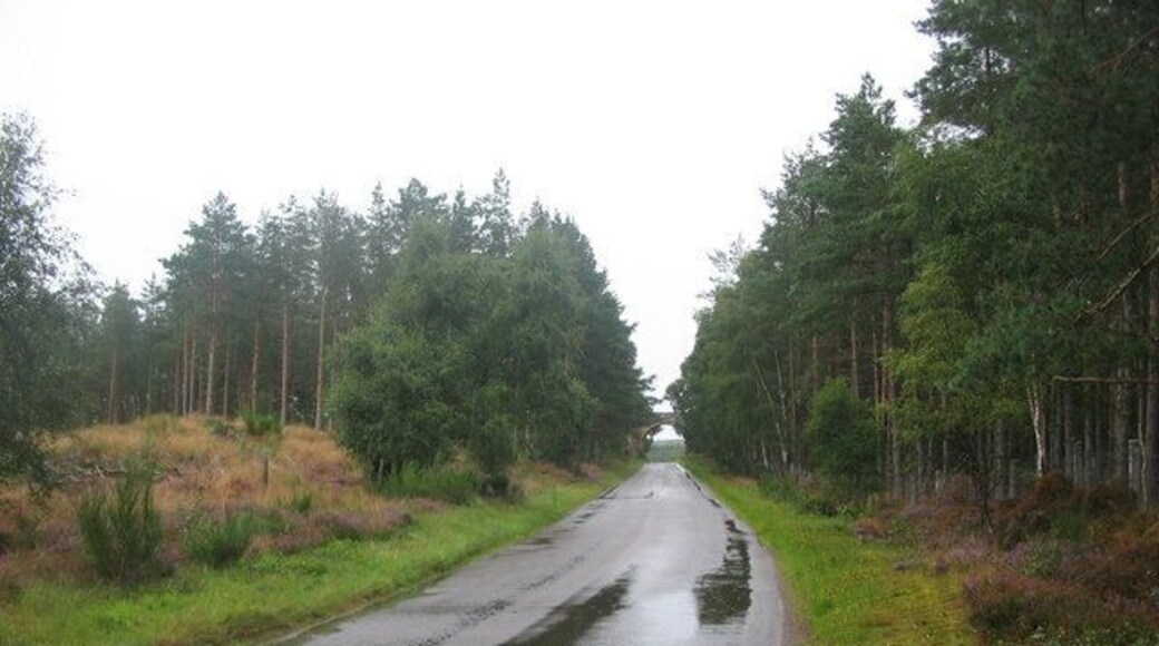 Wardend Woods. A view looking northeast along the minor road to Rafford through Wardend Woods. Rafford Bridge can be seen in the distance.
